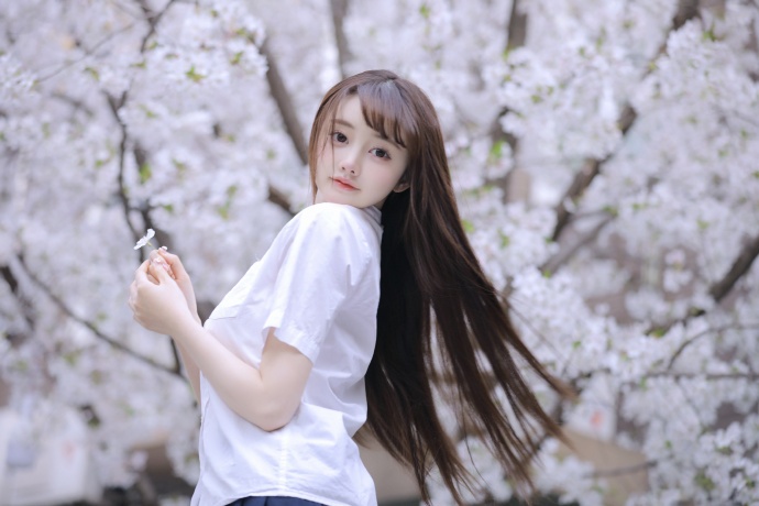 与凤行 海报