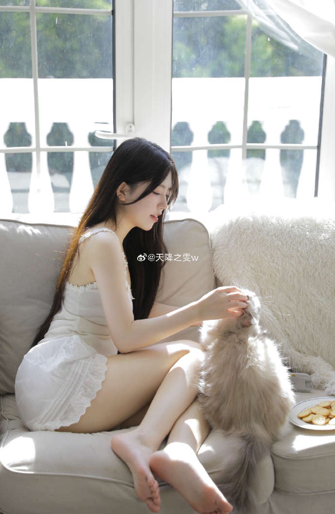 钢琴家 封面